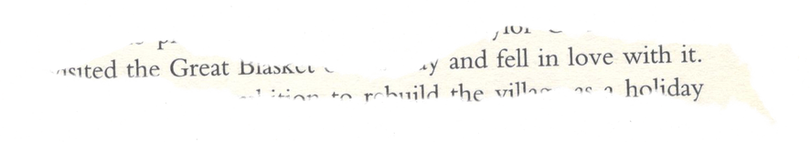 Ripped Paper